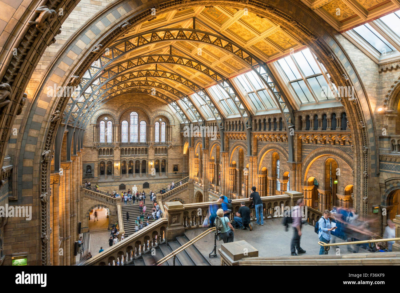Visitors inside the Central hall of the Natural History Museum  Exhibition road South Kensington London England GB UK EU Europe Stock Photo