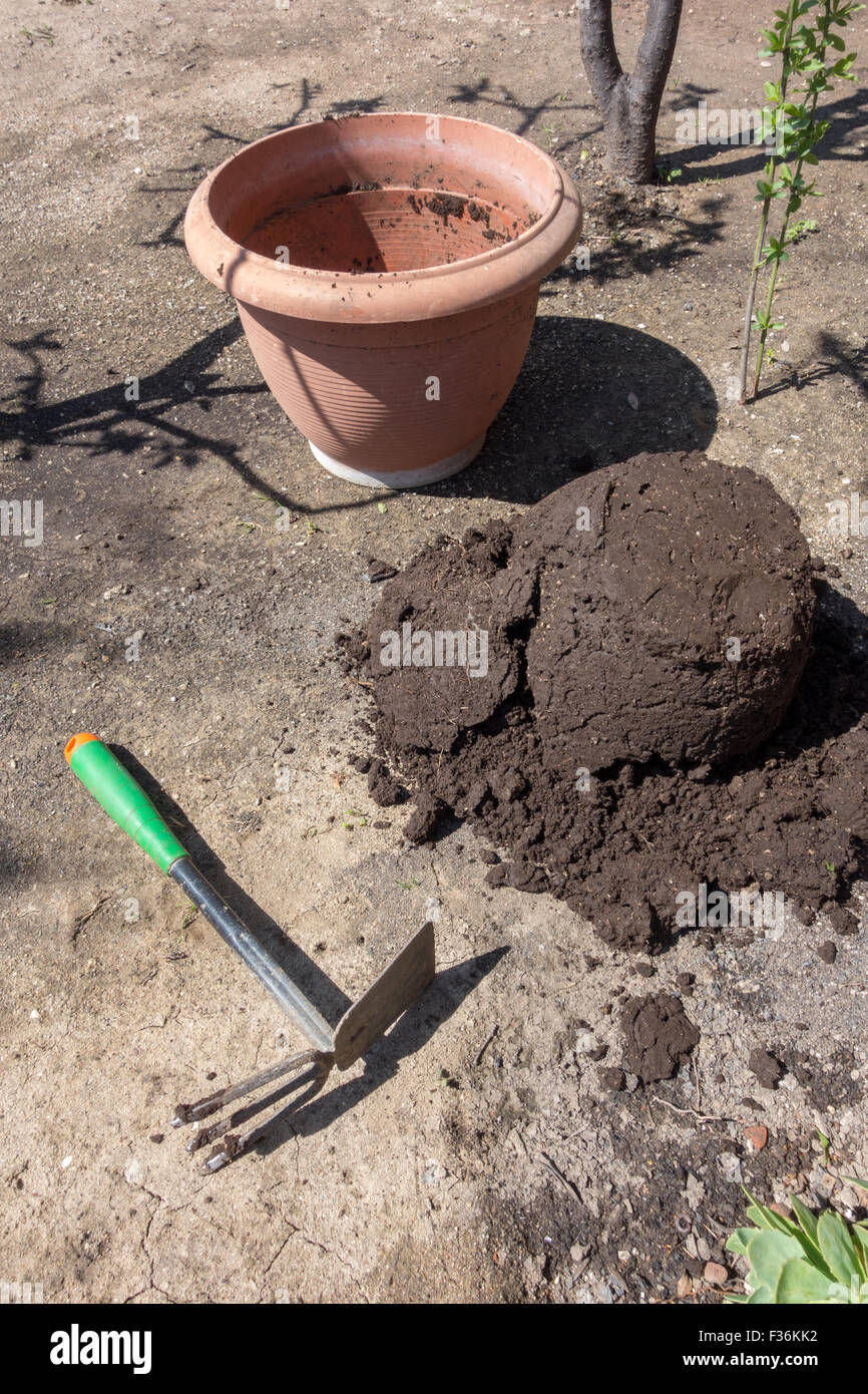 Gardening tools and supplies hi-res stock photography and images - Alamy