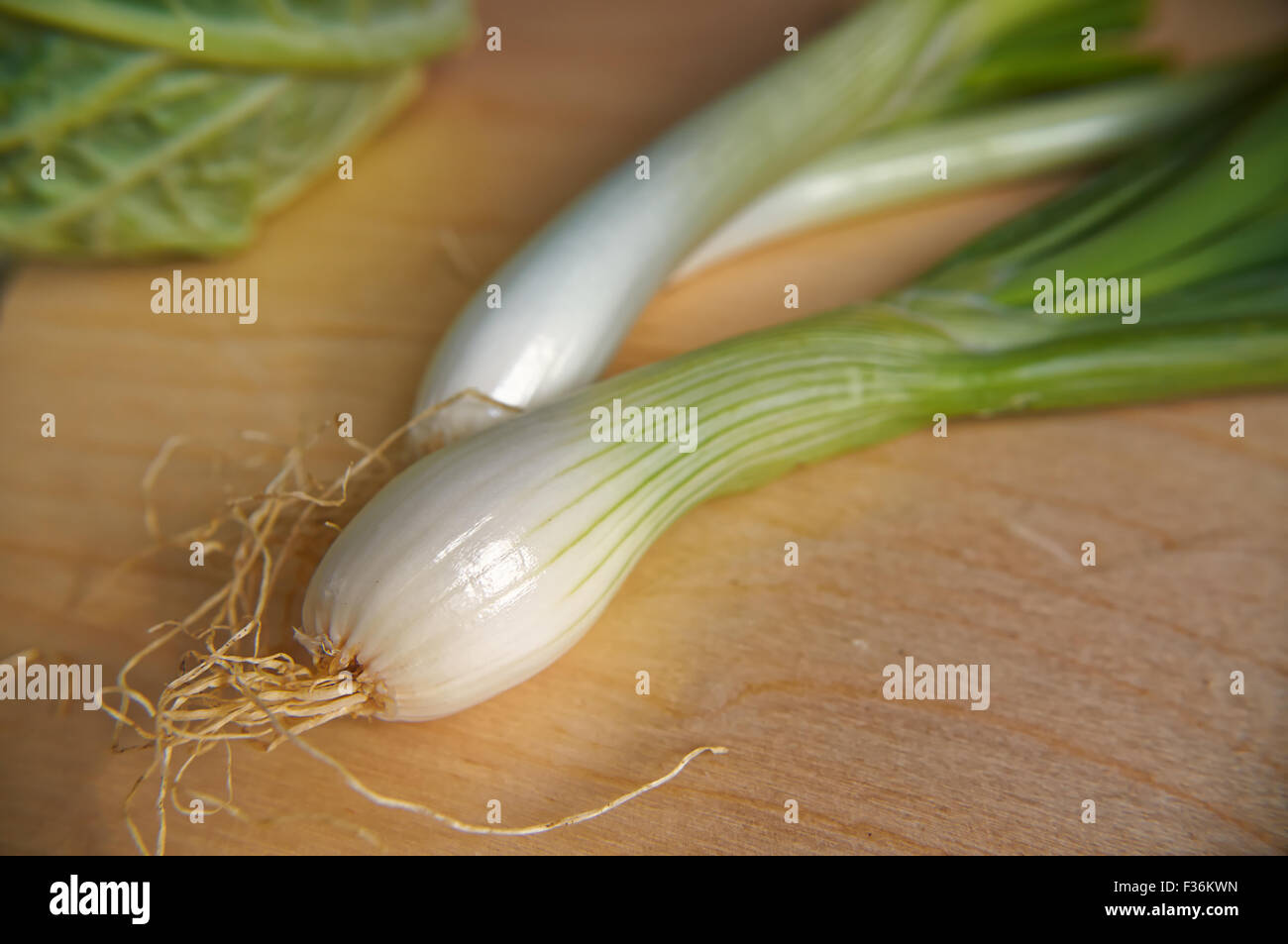 Stalk fresh green bulb onions Stock Photo Alamy