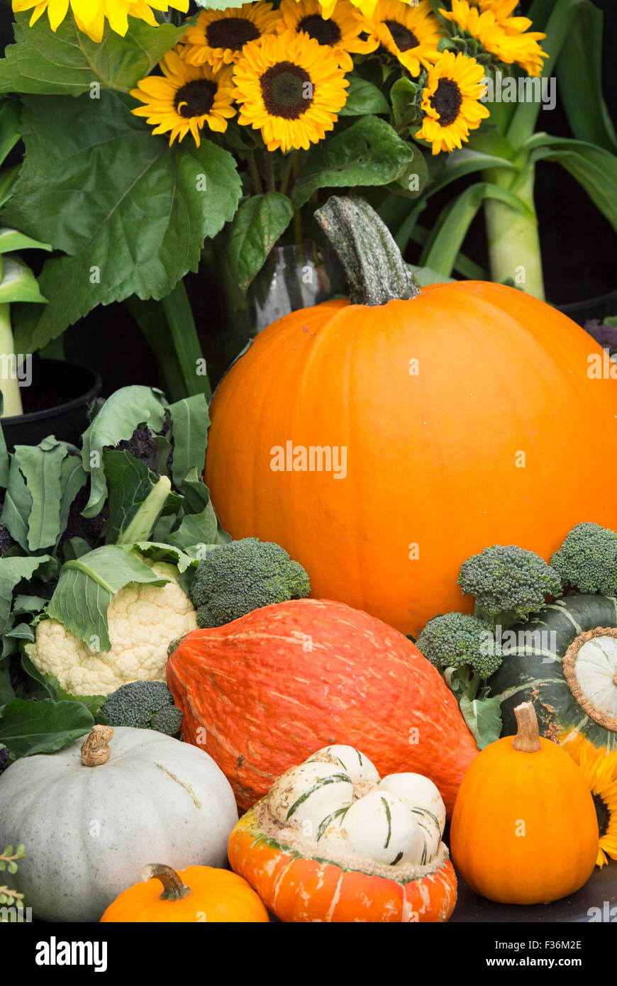 Vegetable display at an Autumn Show. UK Stock Photo
