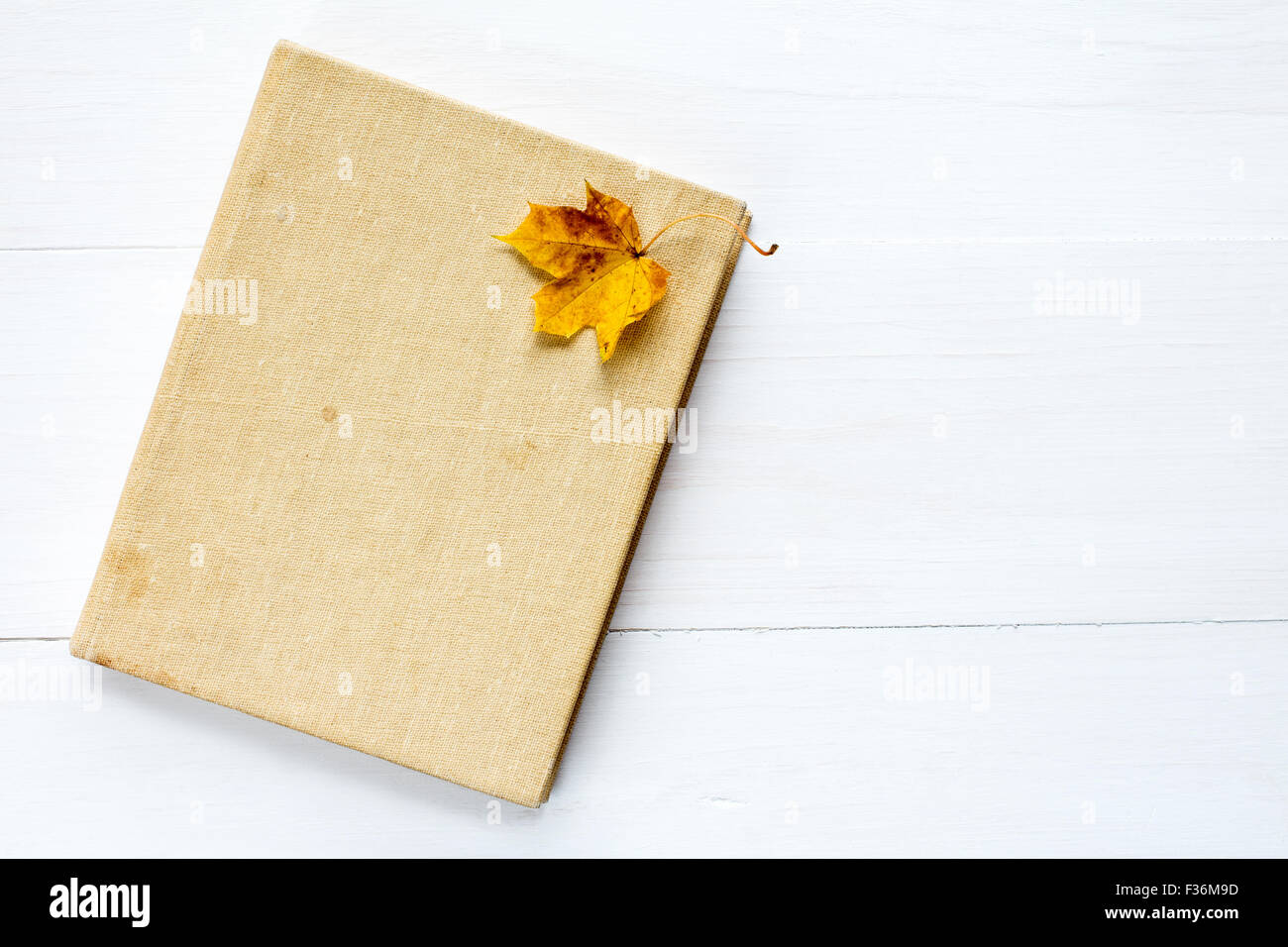 Book and old leaf on wooden background with copy-space Stock Photo