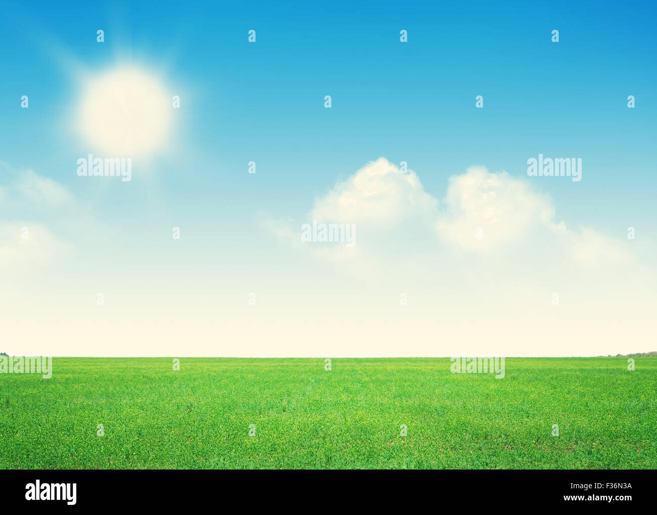 Endless green grass field and blue sky with clouds background Stock ...