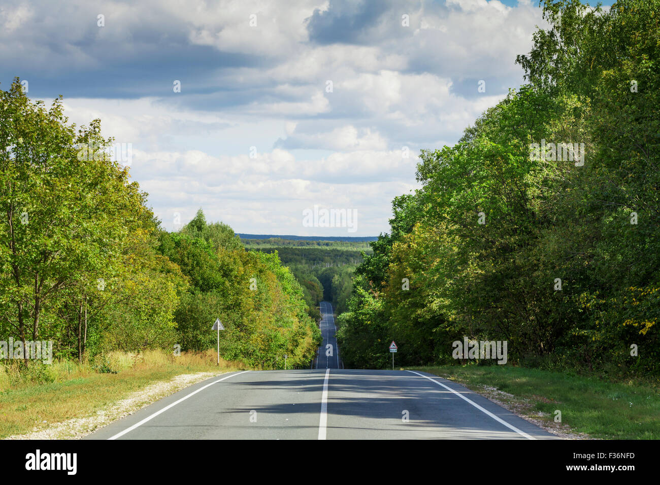 Asphalt road through the forest Stock Photo - Alamy
