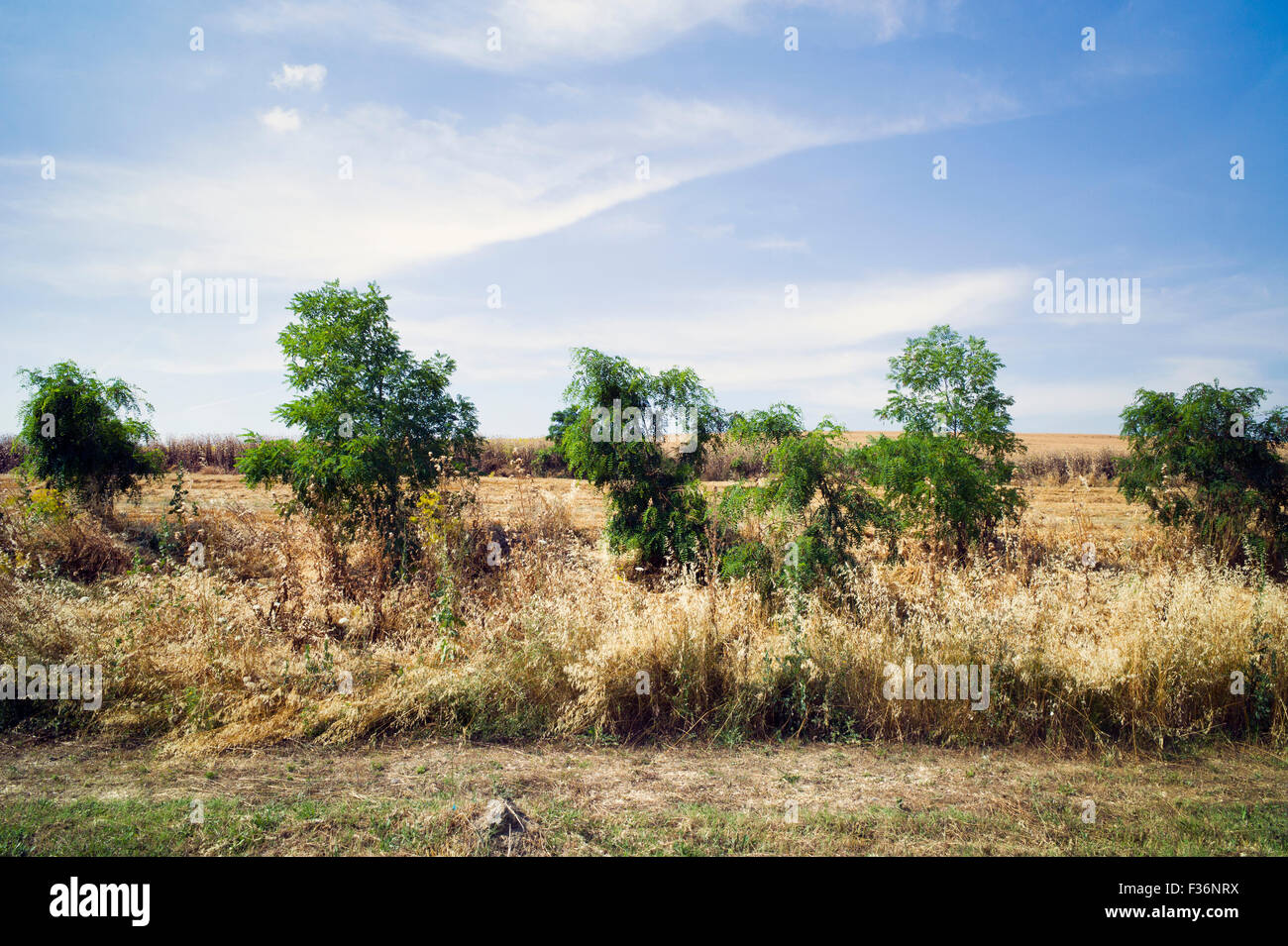 Spring countryside -  fields and blue sky Stock Photo