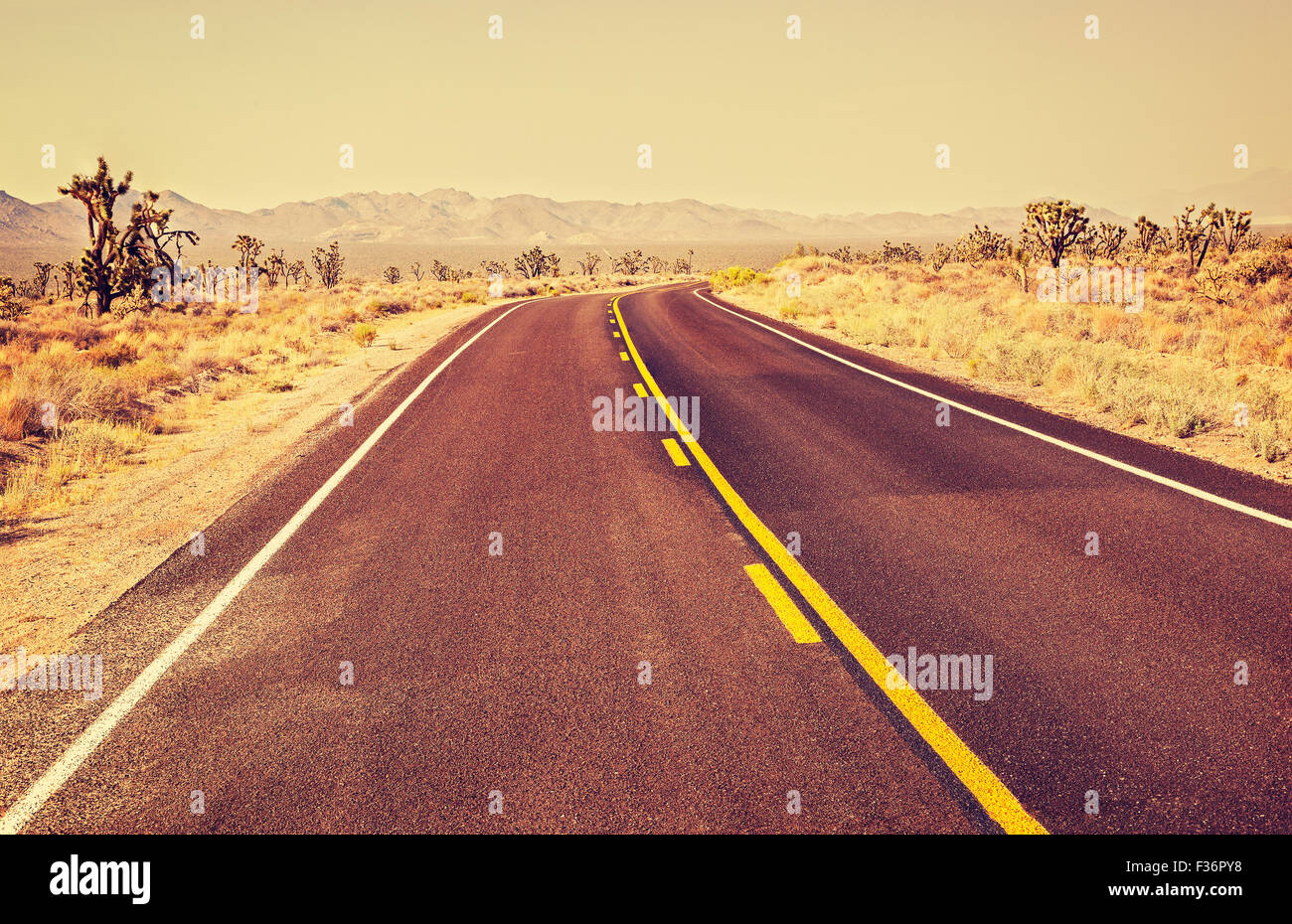 Retro old film style endless country highway, travel adventure concept, Joshua Tree National Park, USA. Stock Photo