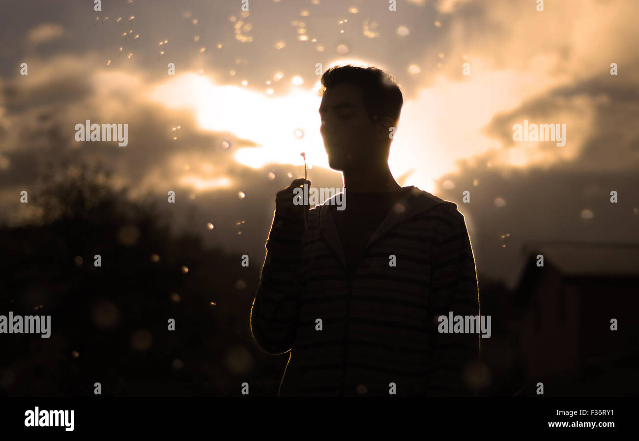 person blowing a dandelion at the sunset orange sky Stock Photo