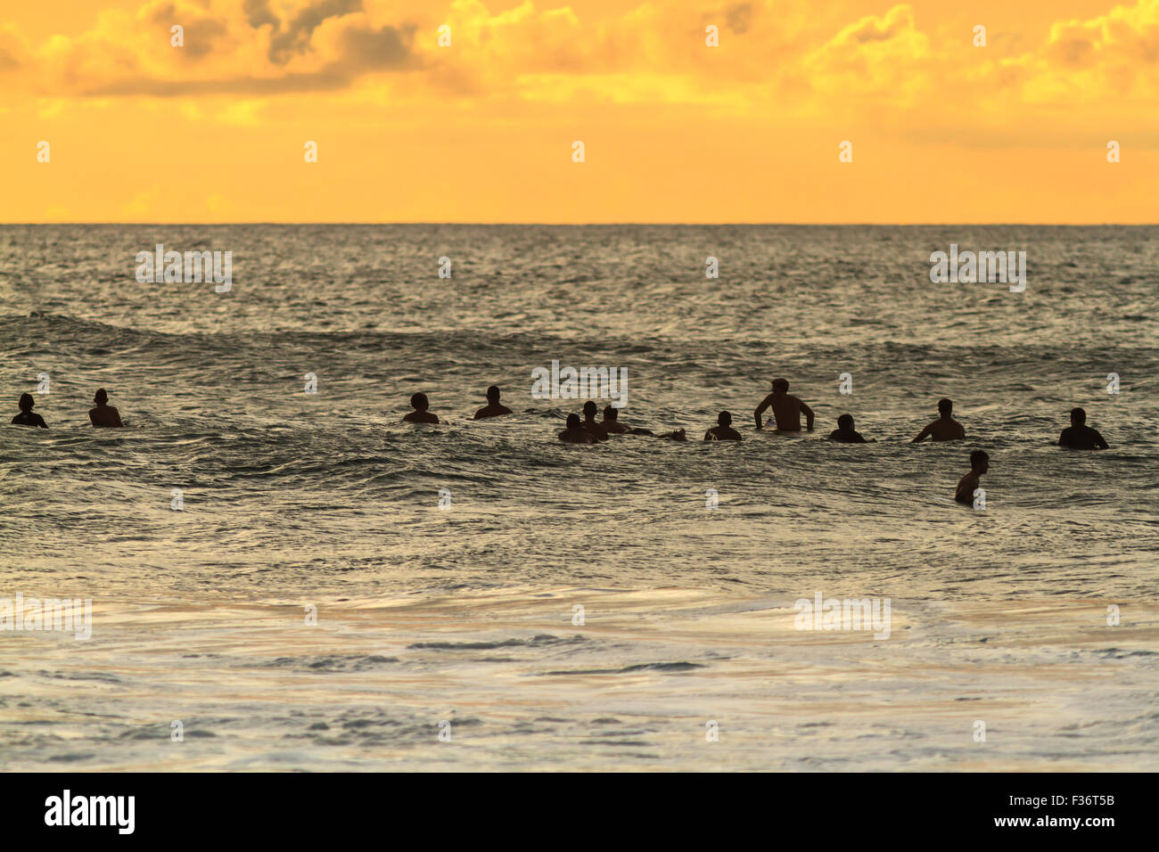Surfers waiting for a wave during the sunset on the north shore Oahu Hawaii Stock Photo