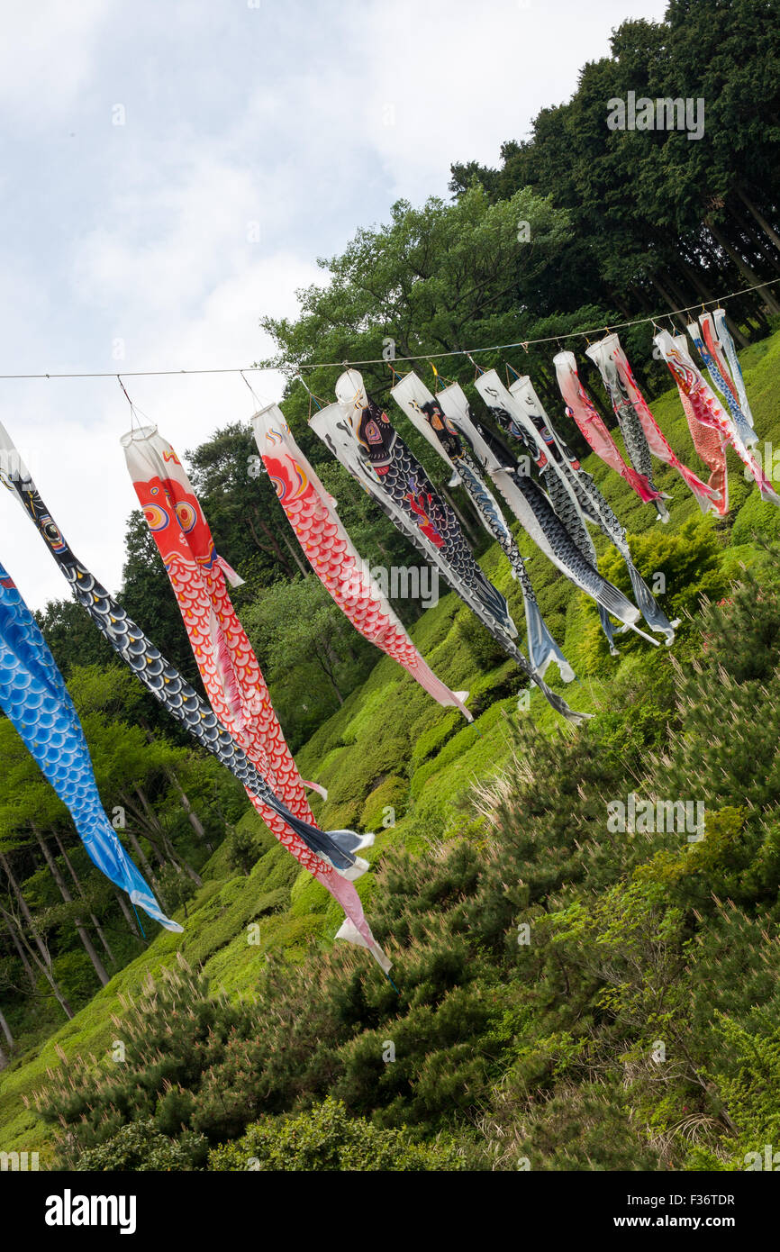 Colorful variety of koinobori fish kites hanging on a wire with green forest in background blue sky Stock Photo