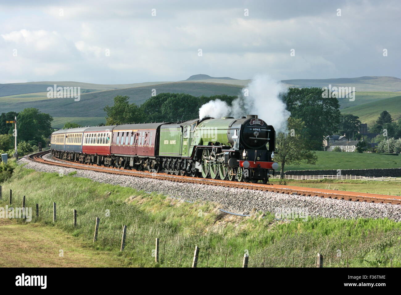 Tornado 60163 steam locomotive train hi-res stock photography and
