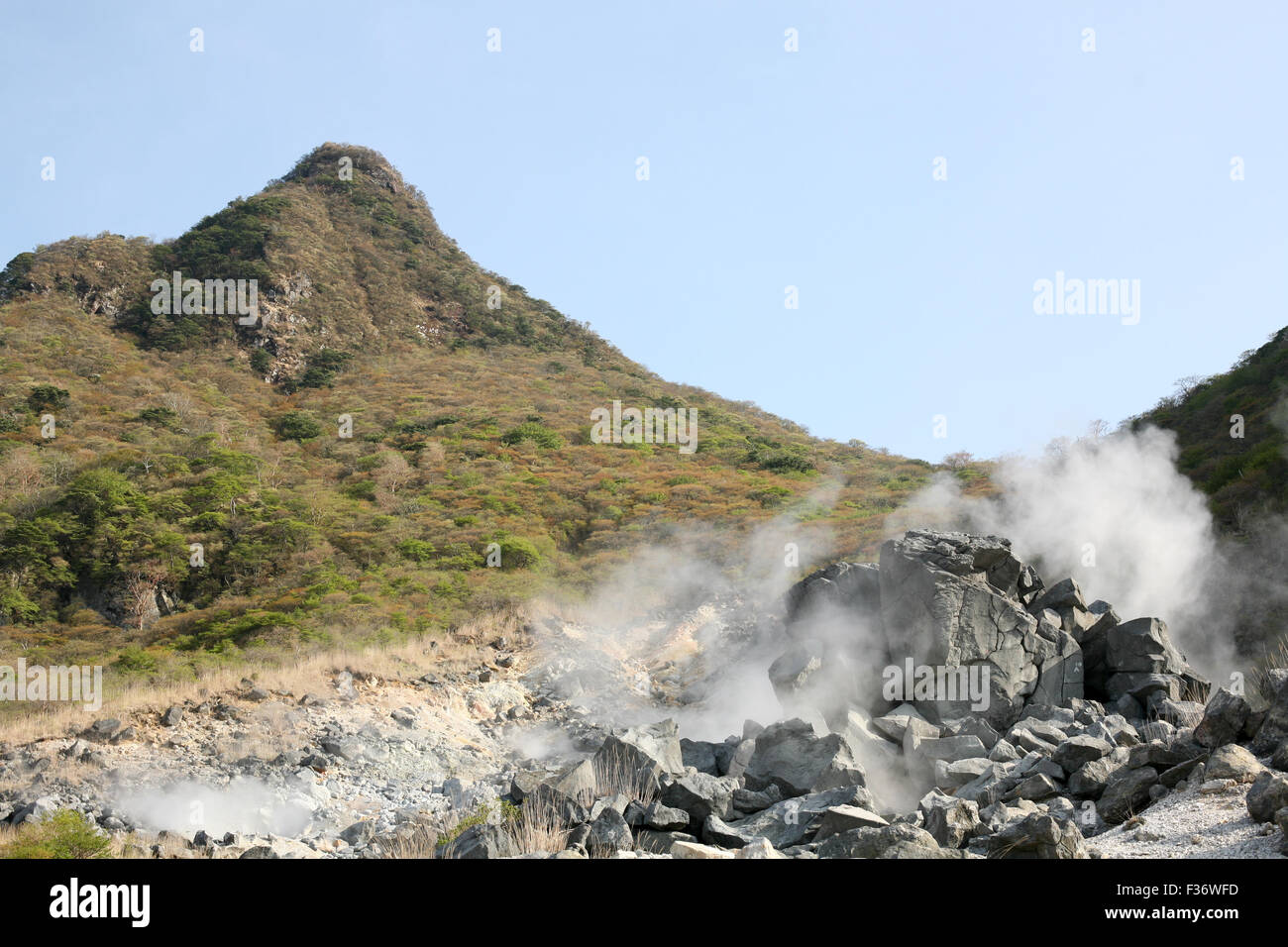 Natural hot spring steam rising from rocks Stock Photo Alamy