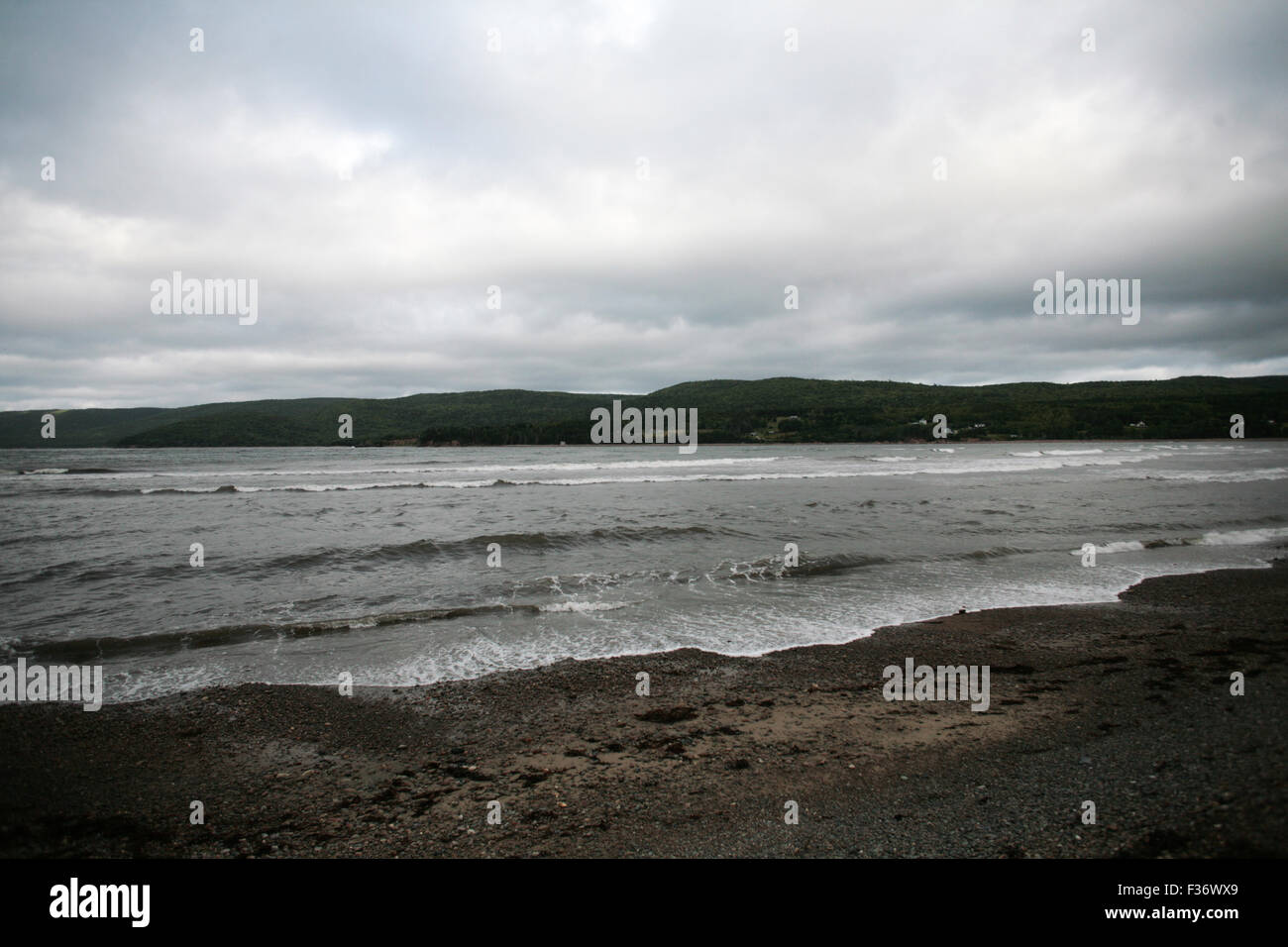 Bacteria bloom in St. Anns, Nova Scotia because of shellfish population Stock Photo