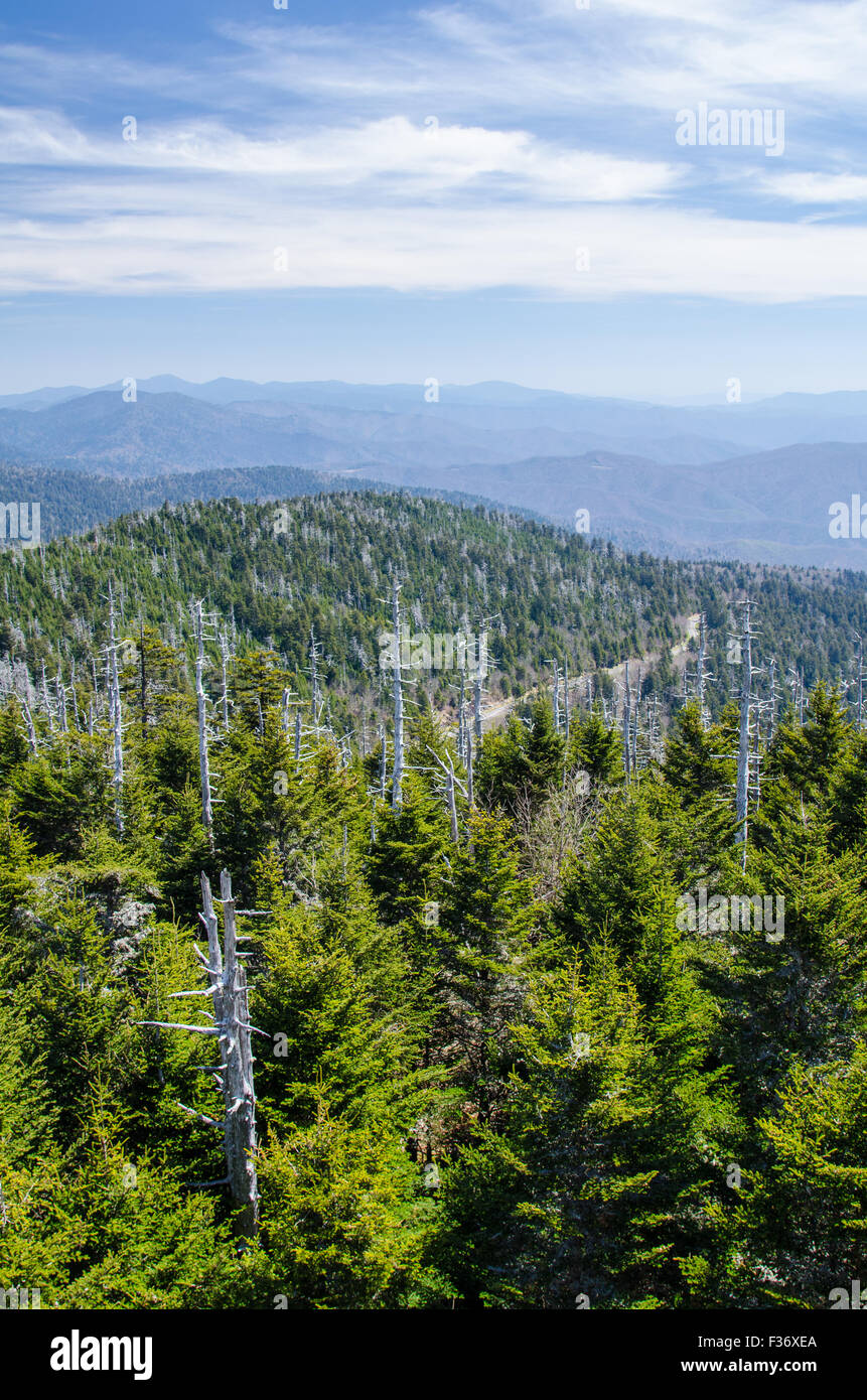 View from Clingman's Dome in the Great Smoky Mountains National Park in