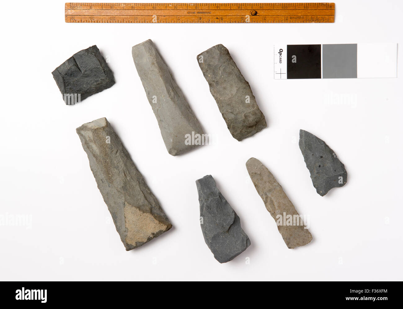 Primitive Tools Stock Photos &amp; Primitive Tools Stock ...