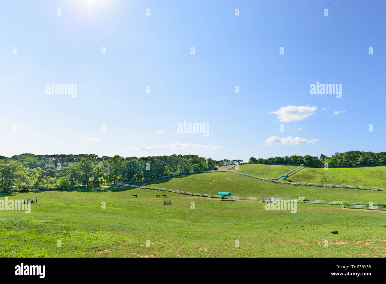 landscape of horse ranch with white fence in a sunny day Stock Photo
