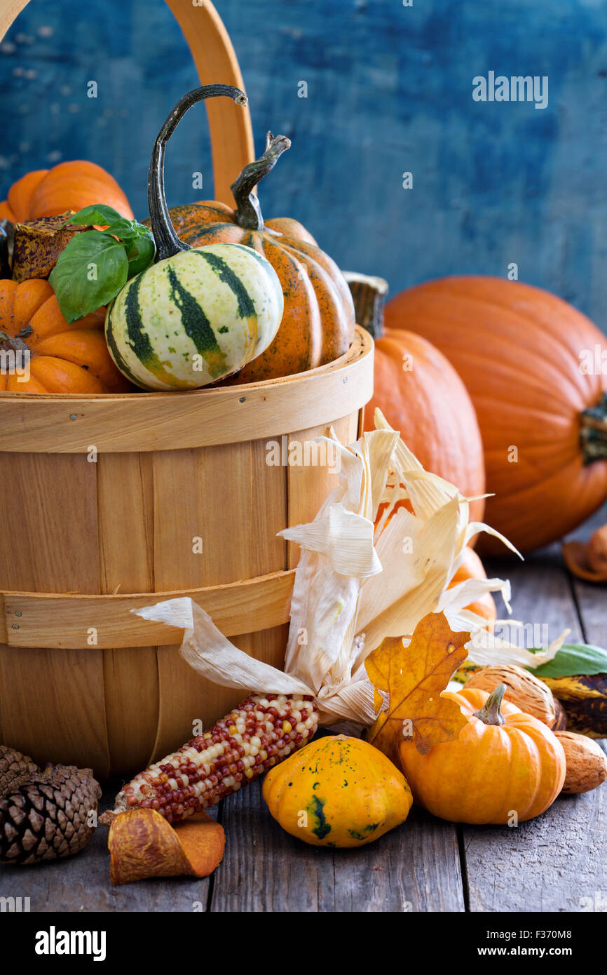 Pumpkins and variety of squash in a harvest basket Stock Photo - Alamy