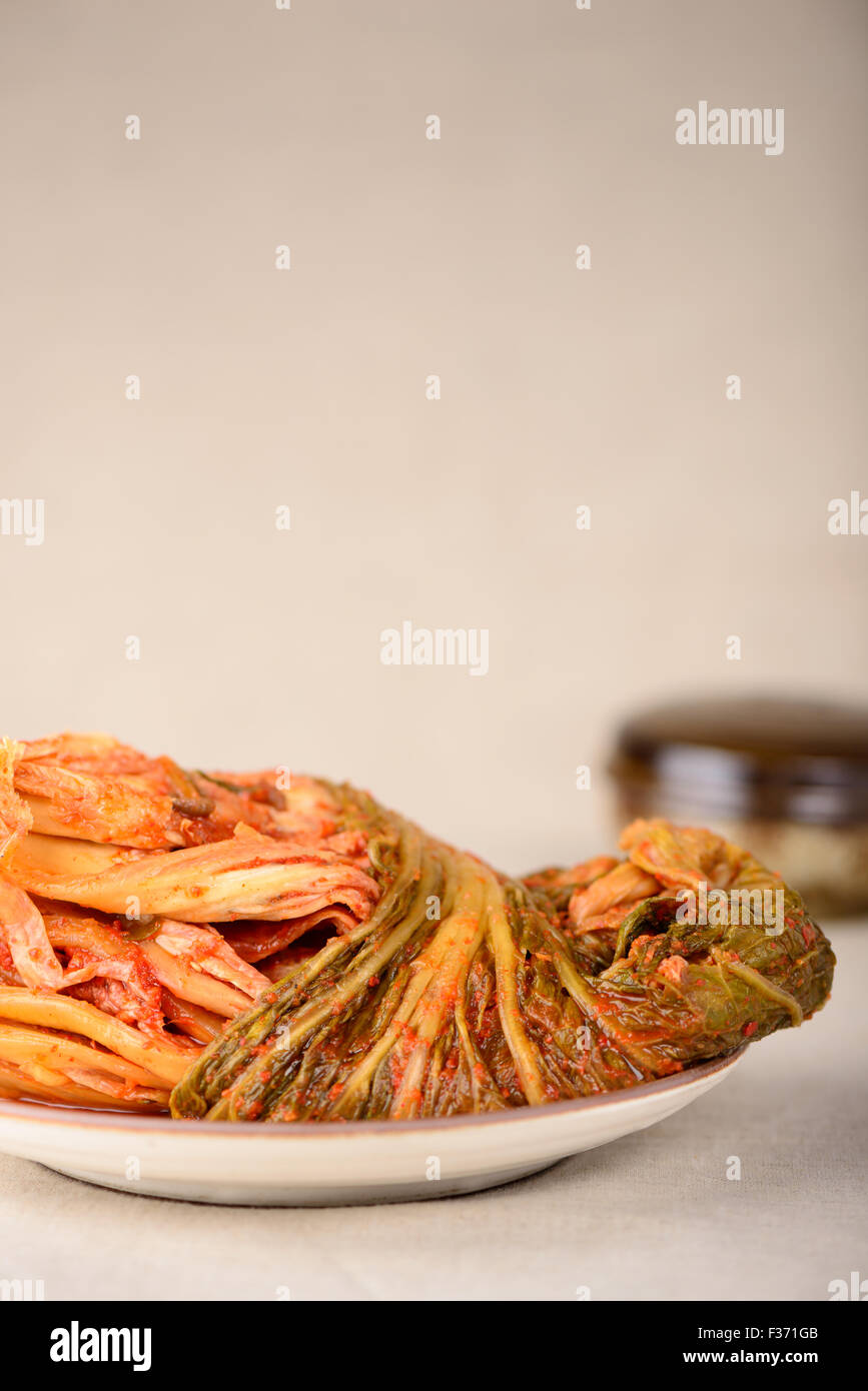 Gimchi(Kimchi) is a traditional fermented Korean side dish made of vegetables and it is one of the most famous Korean foods. Stock Photo