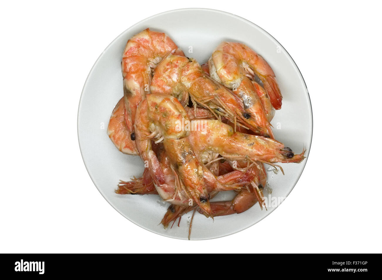 Cooked, boiled, steamed shrimp, prawn Stock Photo