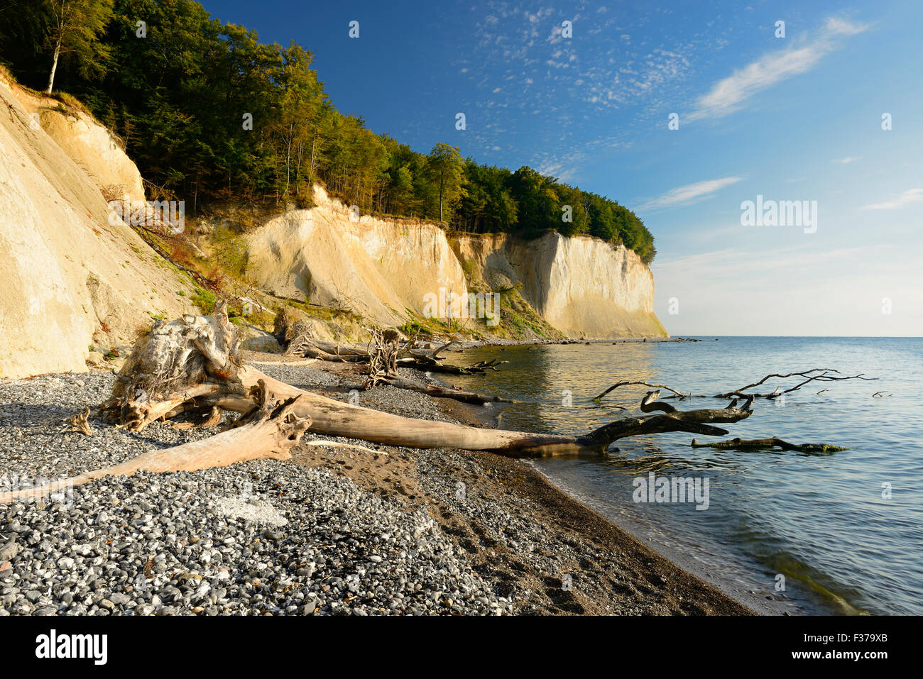 Chalk cliffs in morning light, Jasmund National Park, Rügen, Mecklenburg-Western Pomerania, Germany Stock Photo