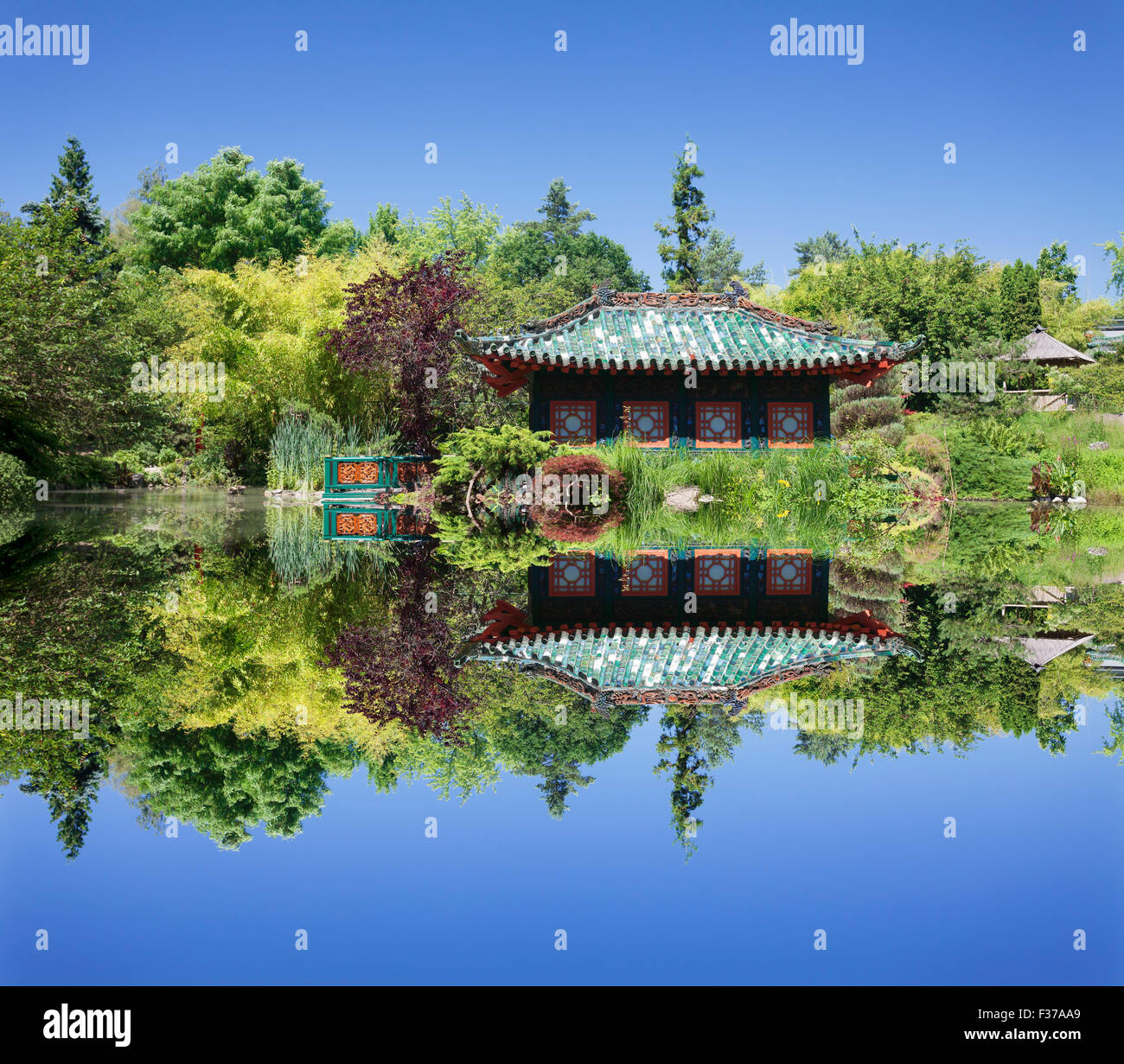 Asian Garden, Münzesheim, BadenWürttemberg, Germany Stock Photo Alamy