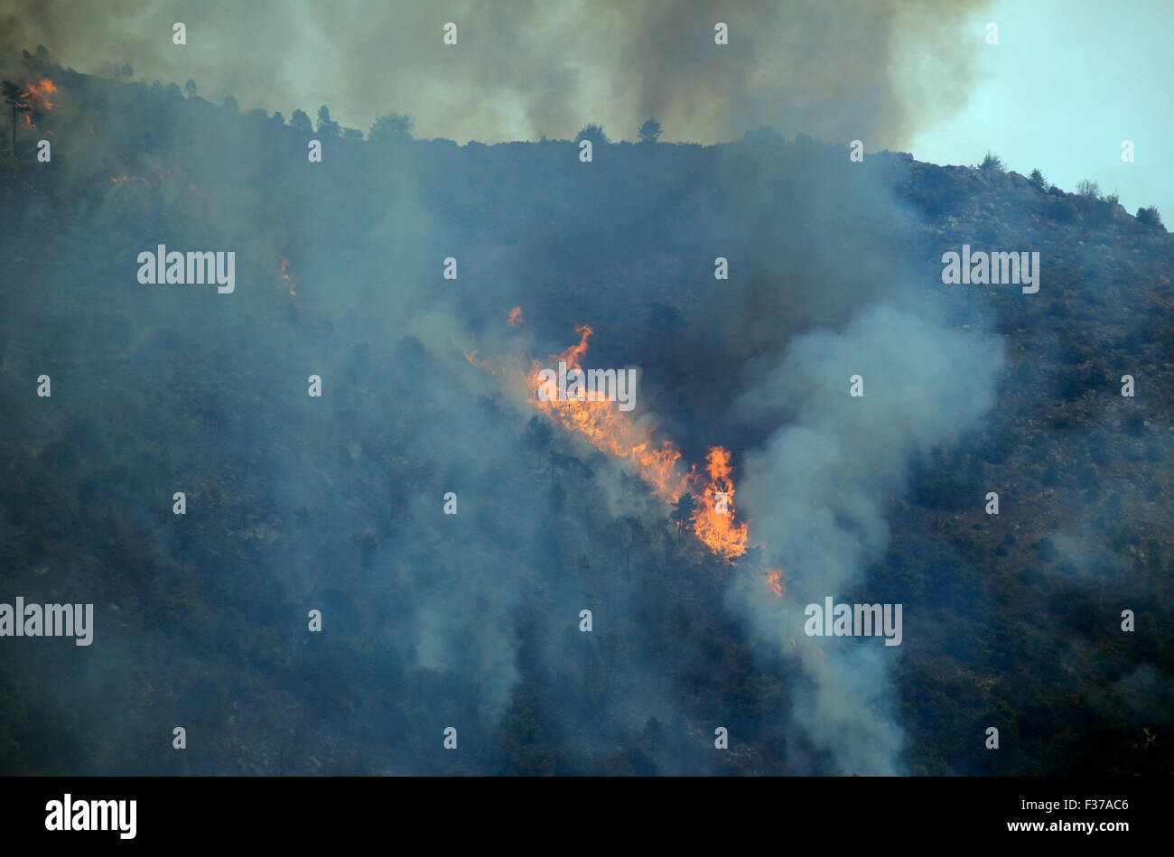 Forest Fire in Castellar, Maritime Alps, Provence-Alpes-Côte d'Azur, France Stock Photo