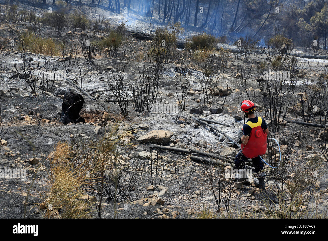 Firefighter, fighting fire, forest fires in Castellar, Maritime Alps, Provence-Alpes-Côte d'Azur, France, Stock Photo