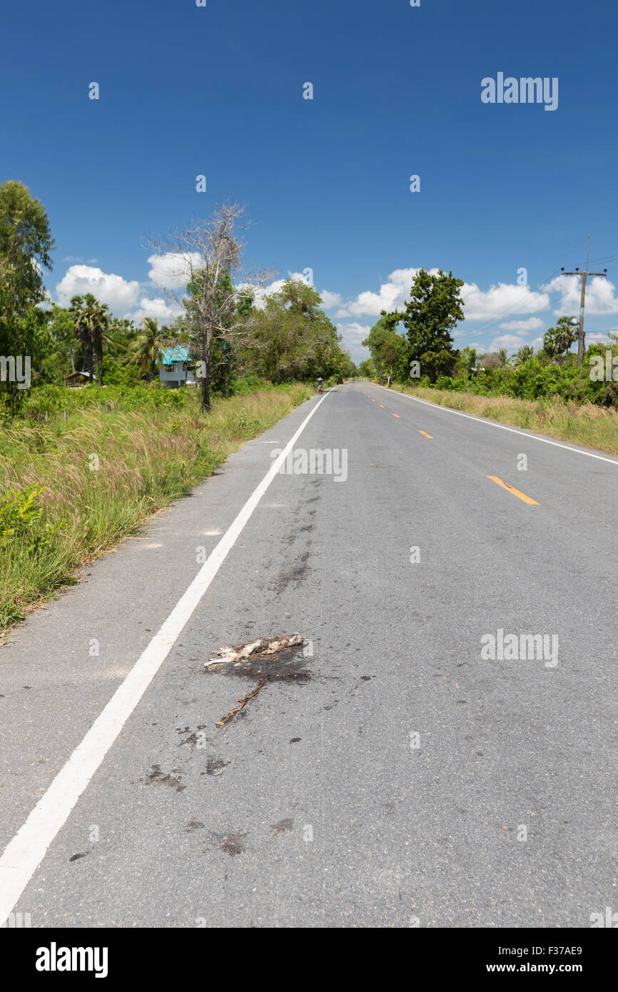 Dead cat hires stock photography and images Alamy