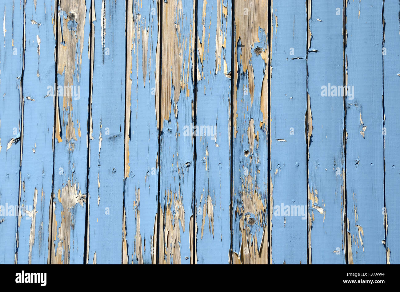 Wall made of light blue wooden slats, paint peeling off Stock Photo