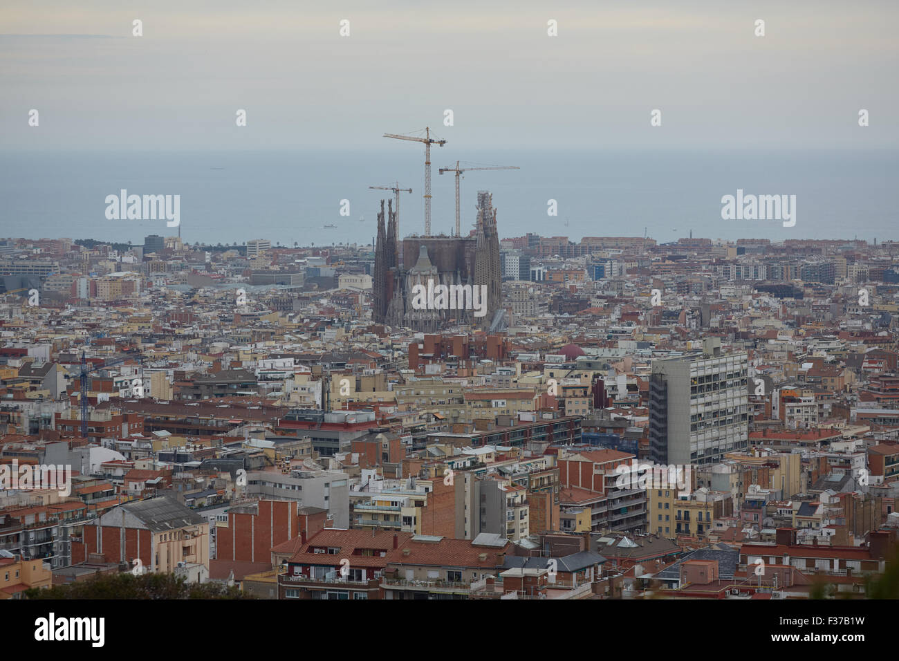 views of Barcelona from the top Stock Photo - Alamy