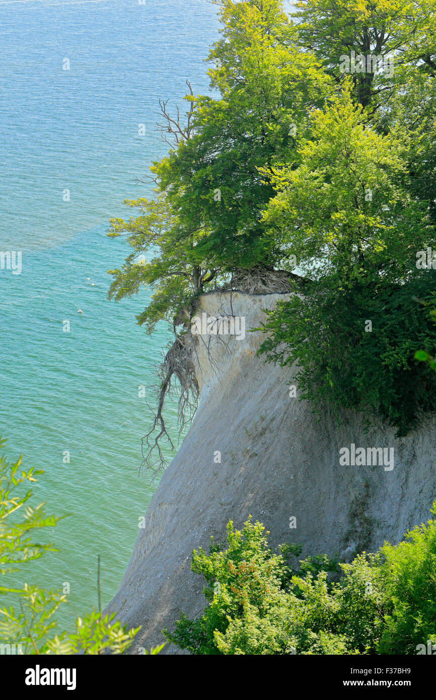 Chalk cliffs of rugen hi-res stock photography and images - Alamy