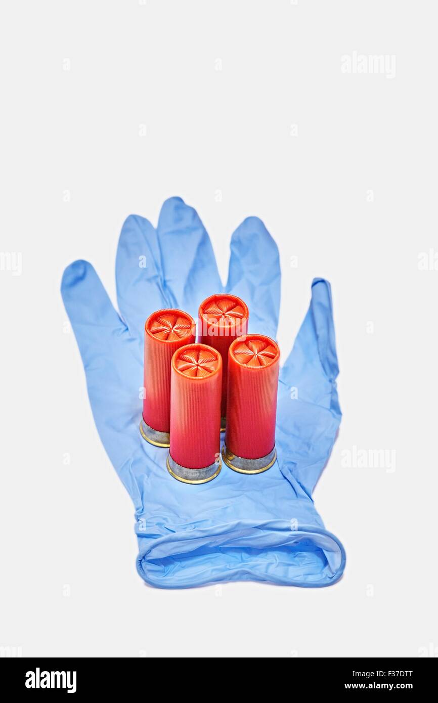 12 Gauge Ga Shotgun Cartridges in Blue Latex Forensic Glove Stock Photo