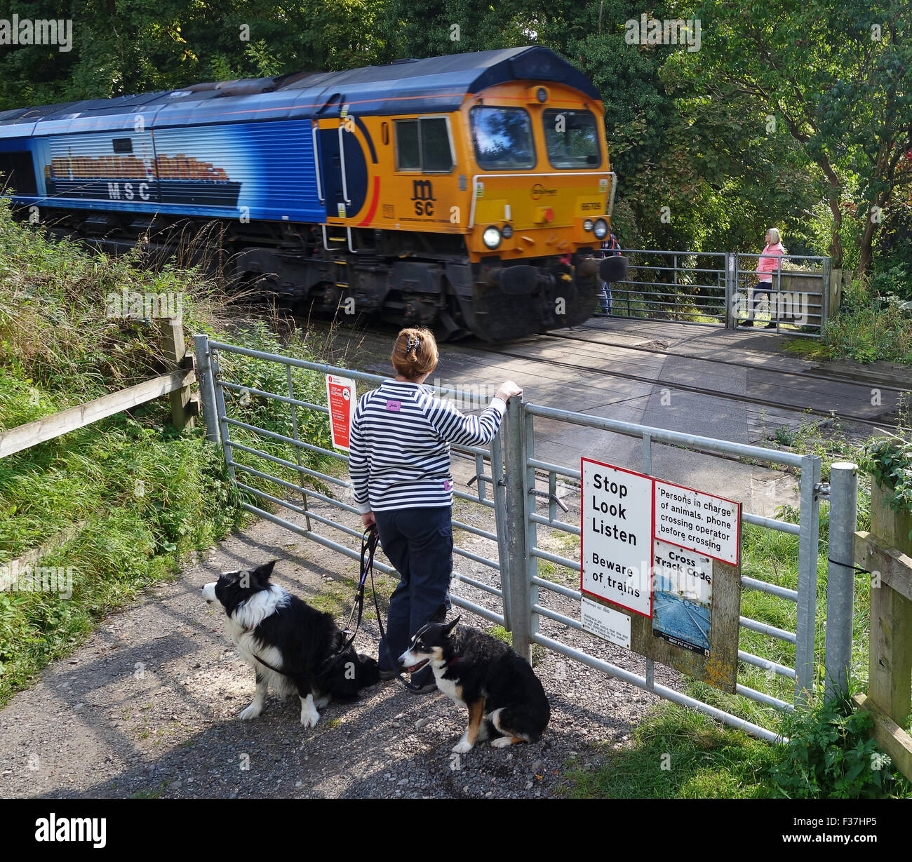 GB Railfreight train trains unmanned level crossing pedestrian waiting to cross at Ironbridge Uk Stock Photo