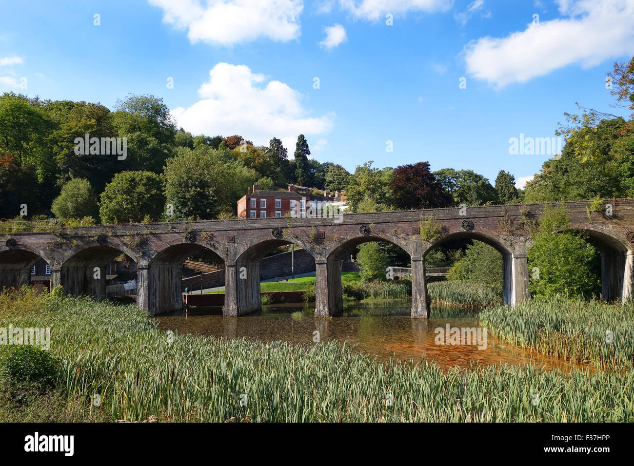 Railway viaduct at Upper Furnace Pool in Coalbrookdale Telford Shropshire Uk Stock Photo