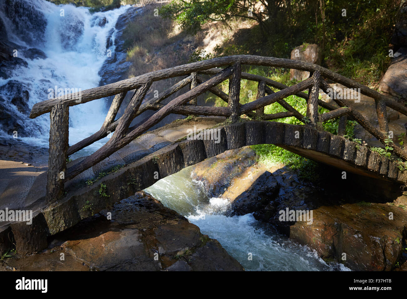 bridge of logs across a stream in a forest in Vietnam Stock Photo - Alamy