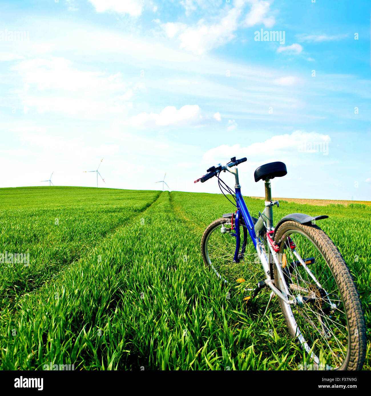 Country ride summer hi-res stock photography and images - Alamy, image size:1300x1390