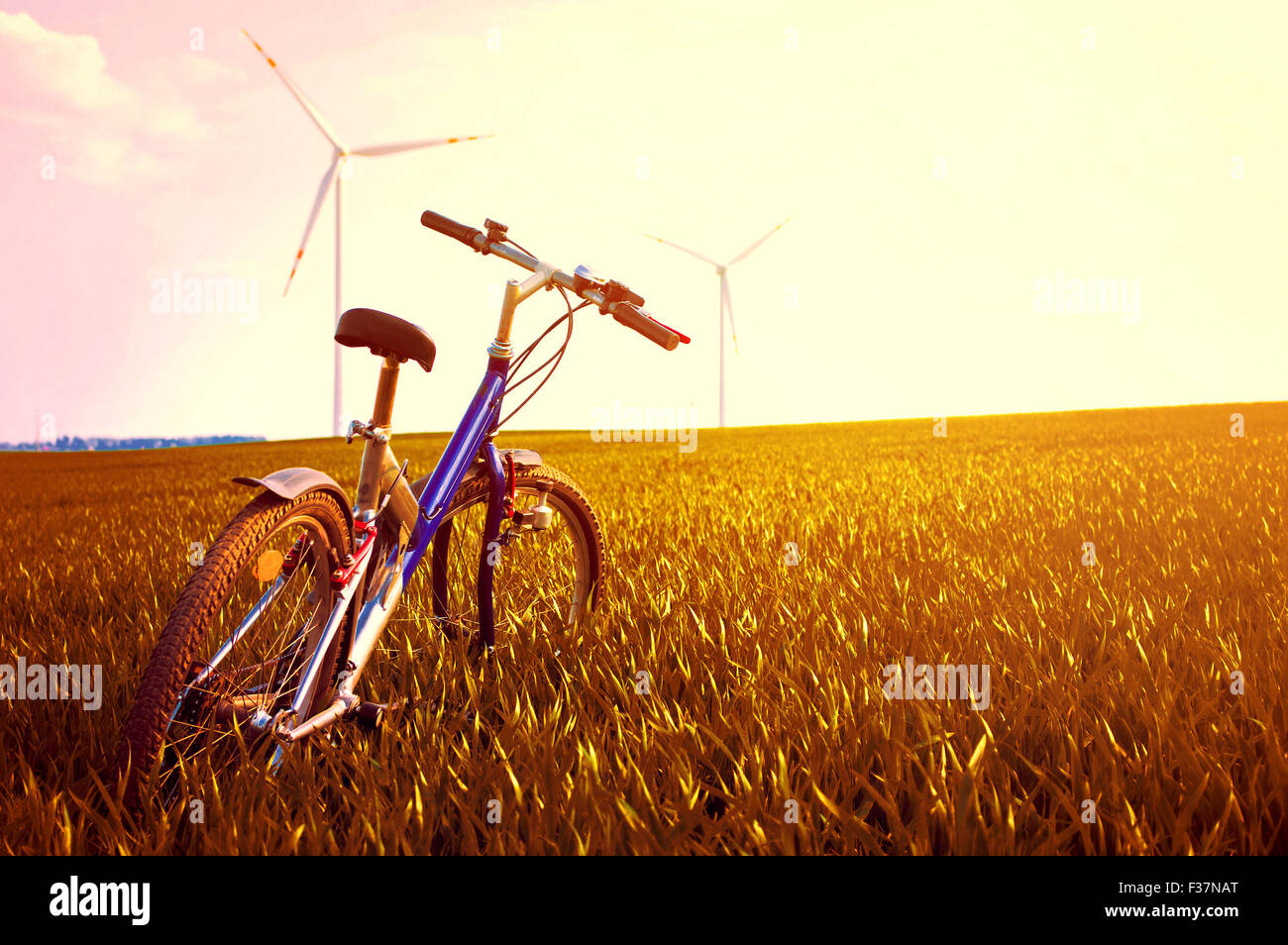 Summer bike hi-res stock photography and images - Page 2 - Alamy, image size:1300x954