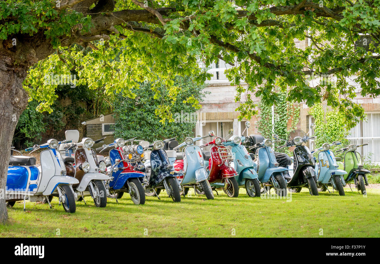 Collection of Classic Lambretta and Vespa Scooters Stock Photo