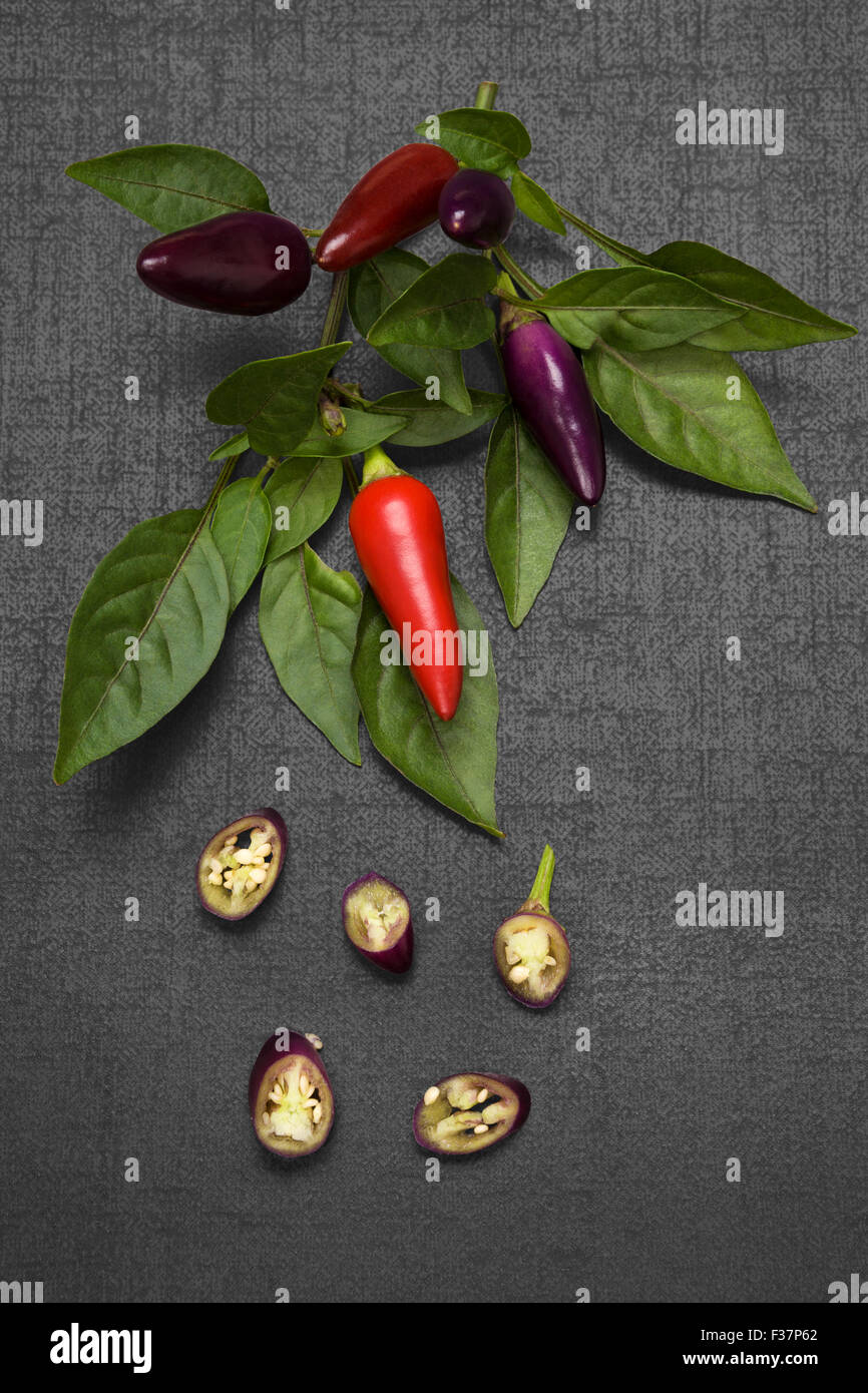 Red and purple chili pepper with leaves on black background, top view. Culinary gourmet cooking ingredient. Stock Photo