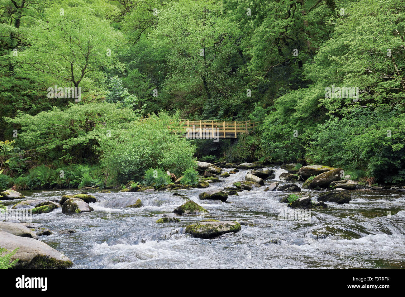 Bridge over Hoar Oak Water and East Lyn river, Watersmeet, Devon, England, UK Stock Photo