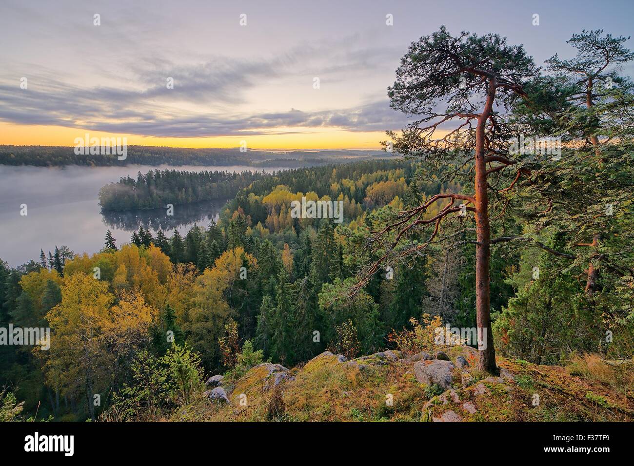 Foggy morning in the Aulanko nature reserve park in Finland. The sun is about to rise in the early morning. HDR image. Stock Photo