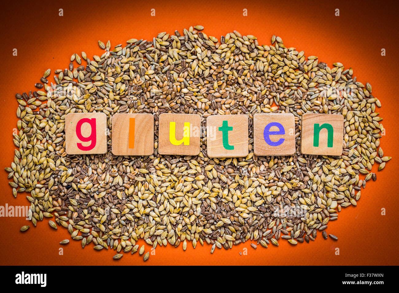 Foods containing gluten( selt, wheat, rye, barley Stock Photo Alamy