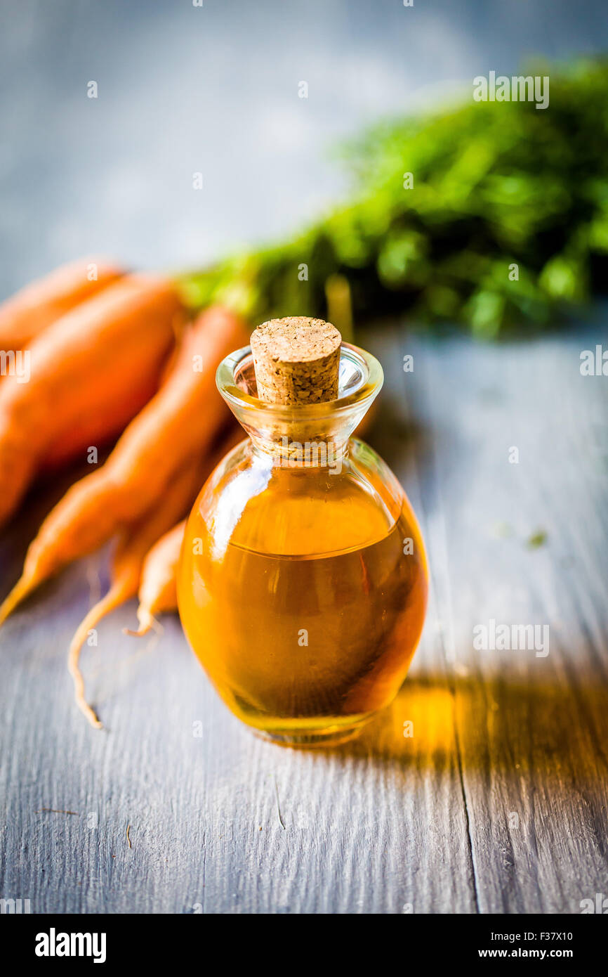 Oil carrot (Daucus Carota). Stock Photo