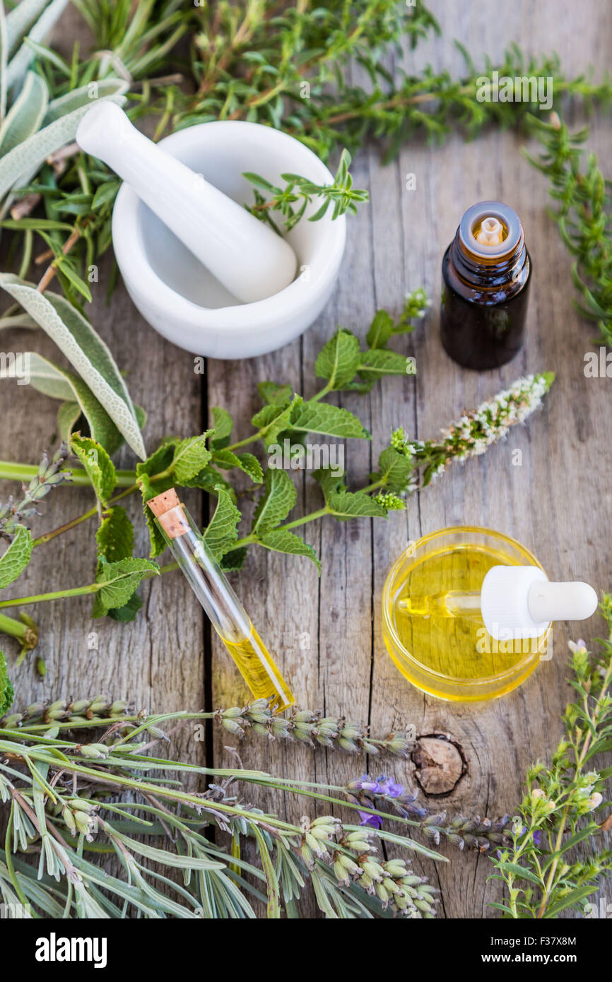 Assortment of herbs used fot essential oils . Stock Photo