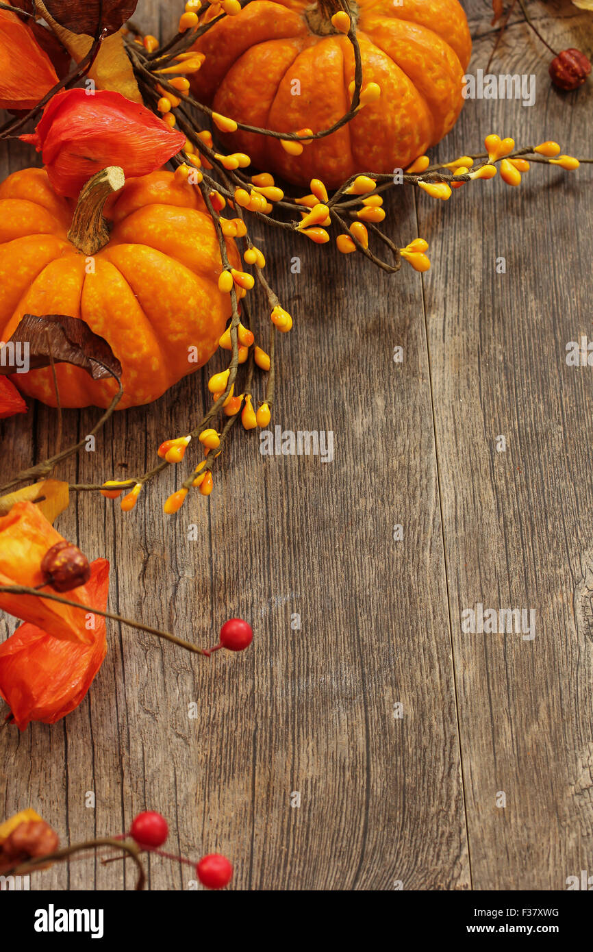 Fall background hi-res stock photography and images - Alamy
