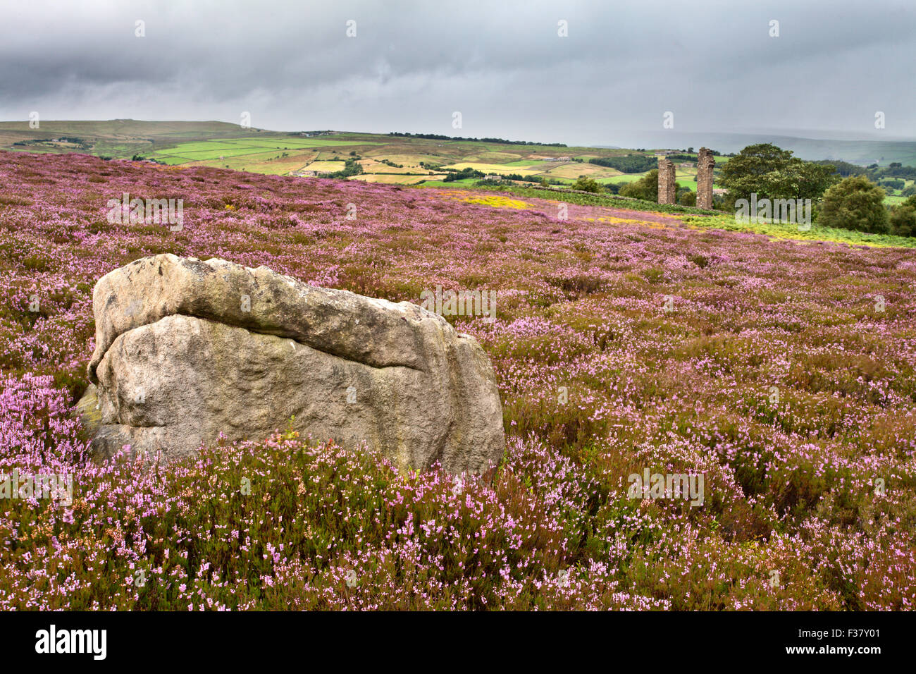 Rock and Heather at Yorkes Folly or Two Stoops Pateley Bridge North Yorkshire England Stock Photo