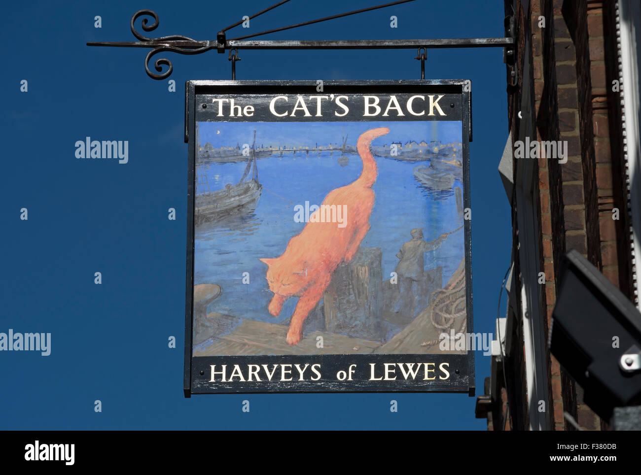 inn sign for the cat's back pub, wandsworth, london, england, with