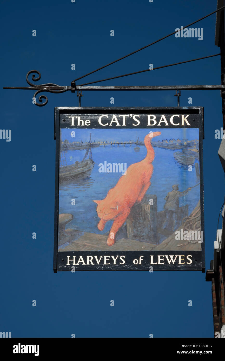 inn sign for the cat's back pub, wandsworth, london, england, with