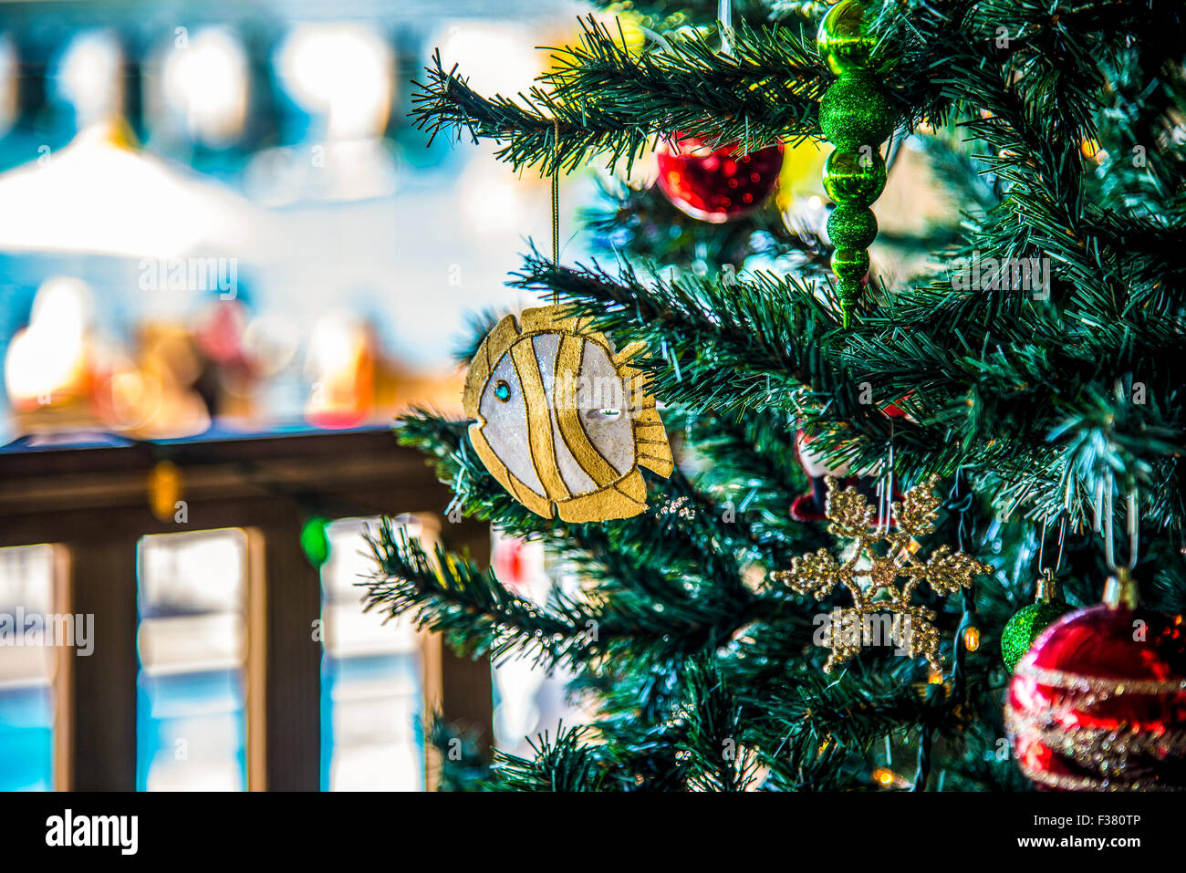 Florida Keys Christmas tree Stock Photo Alamy