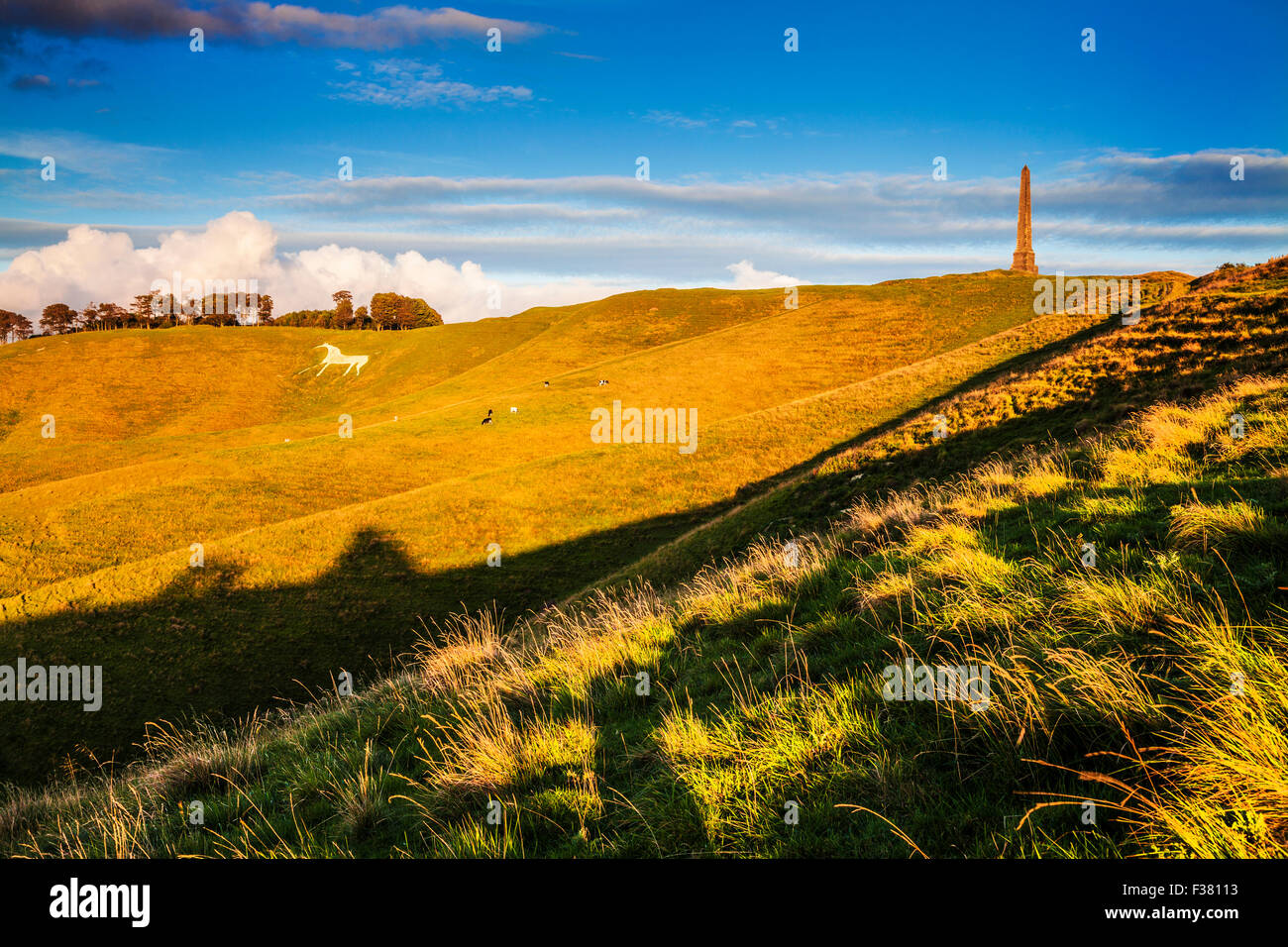 The White Horse and Lansdowne Monument at Cherhill in Wiltshire Stock