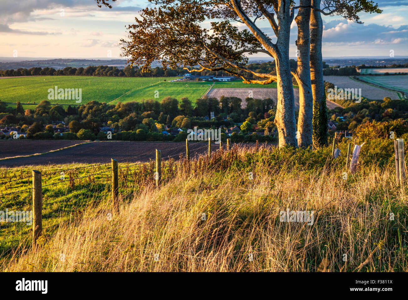 Evening light over the Wiltshire countryside at Cherhill. Stock Photo
