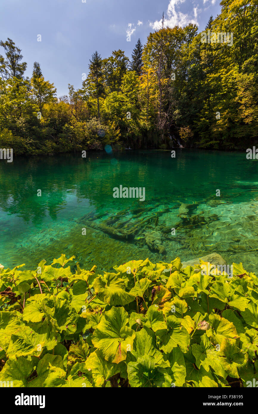 Virgin nature of Plitvice lakes national park, Croatia Stock Photo